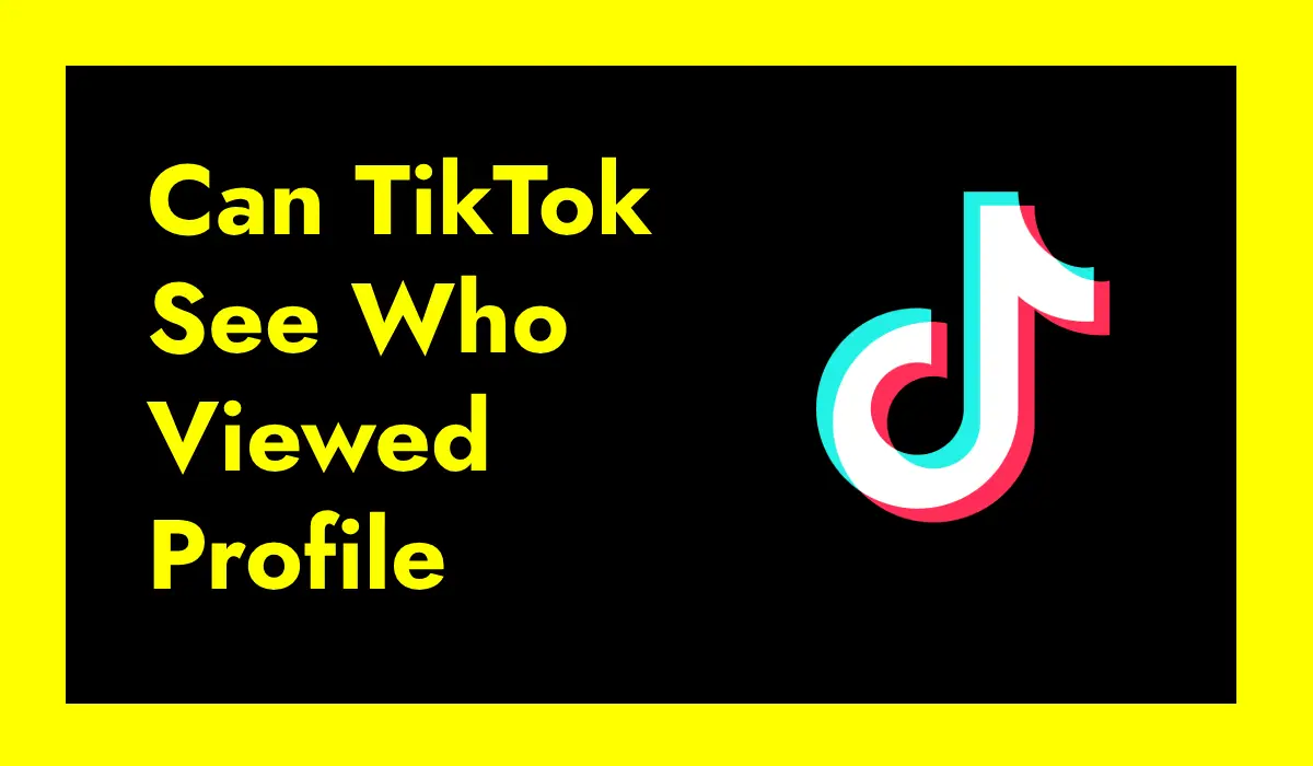 Can TikTok See Who Viewed Your Profile?