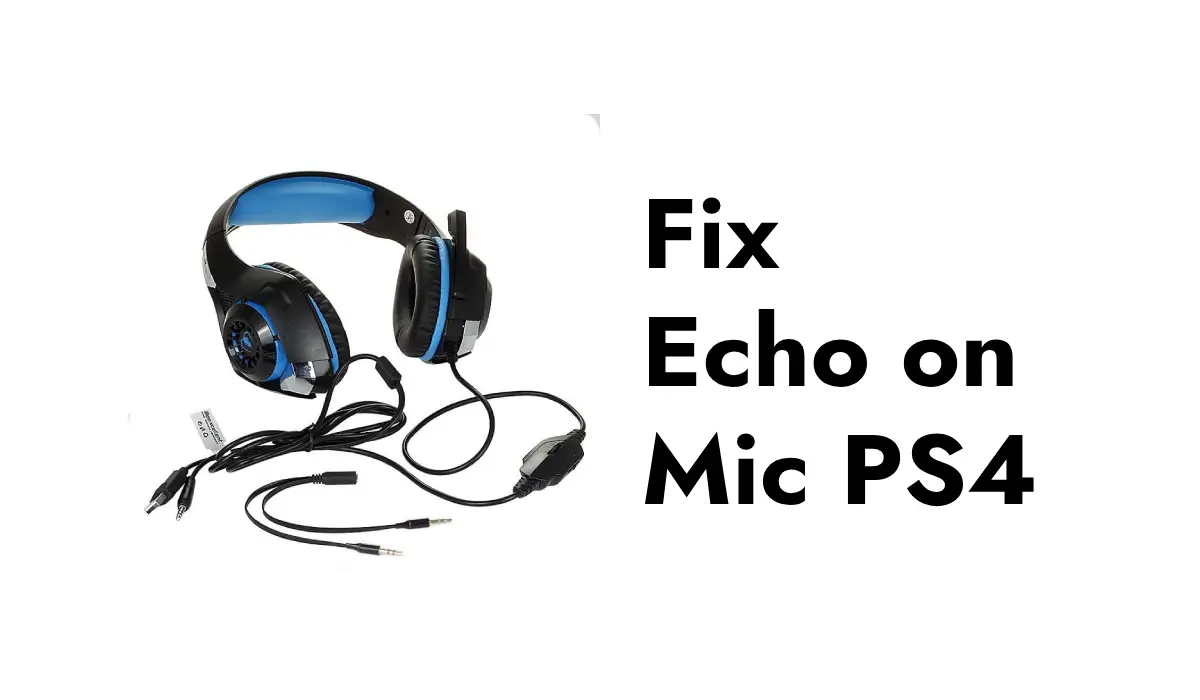 Echo on Mic PS4