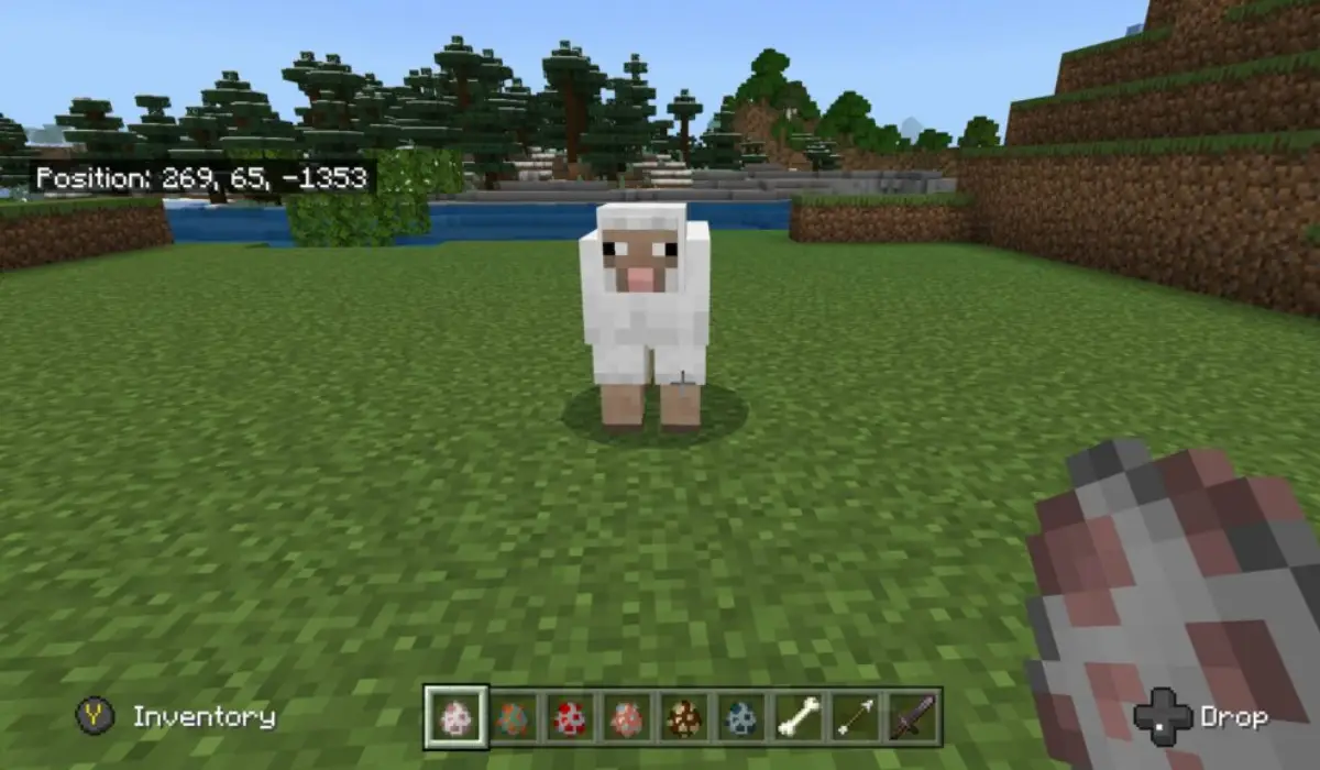 Feed a Sheep in Minecraft