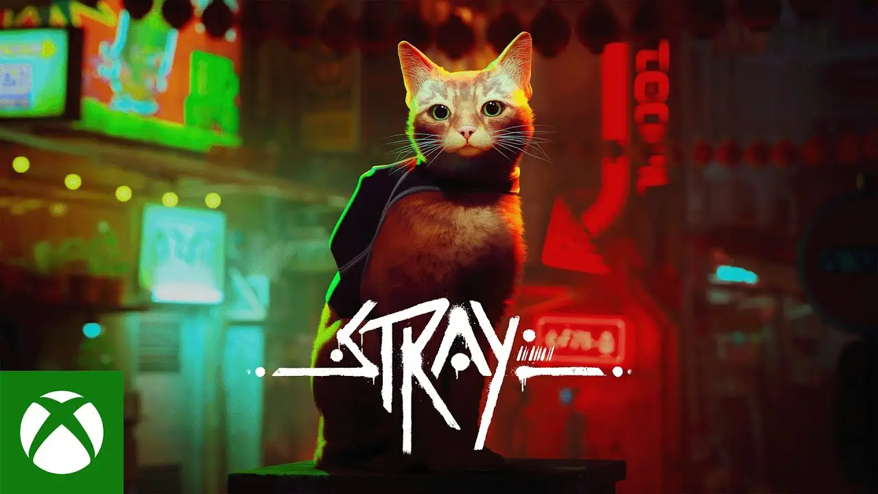 Will Stray be on Xbox